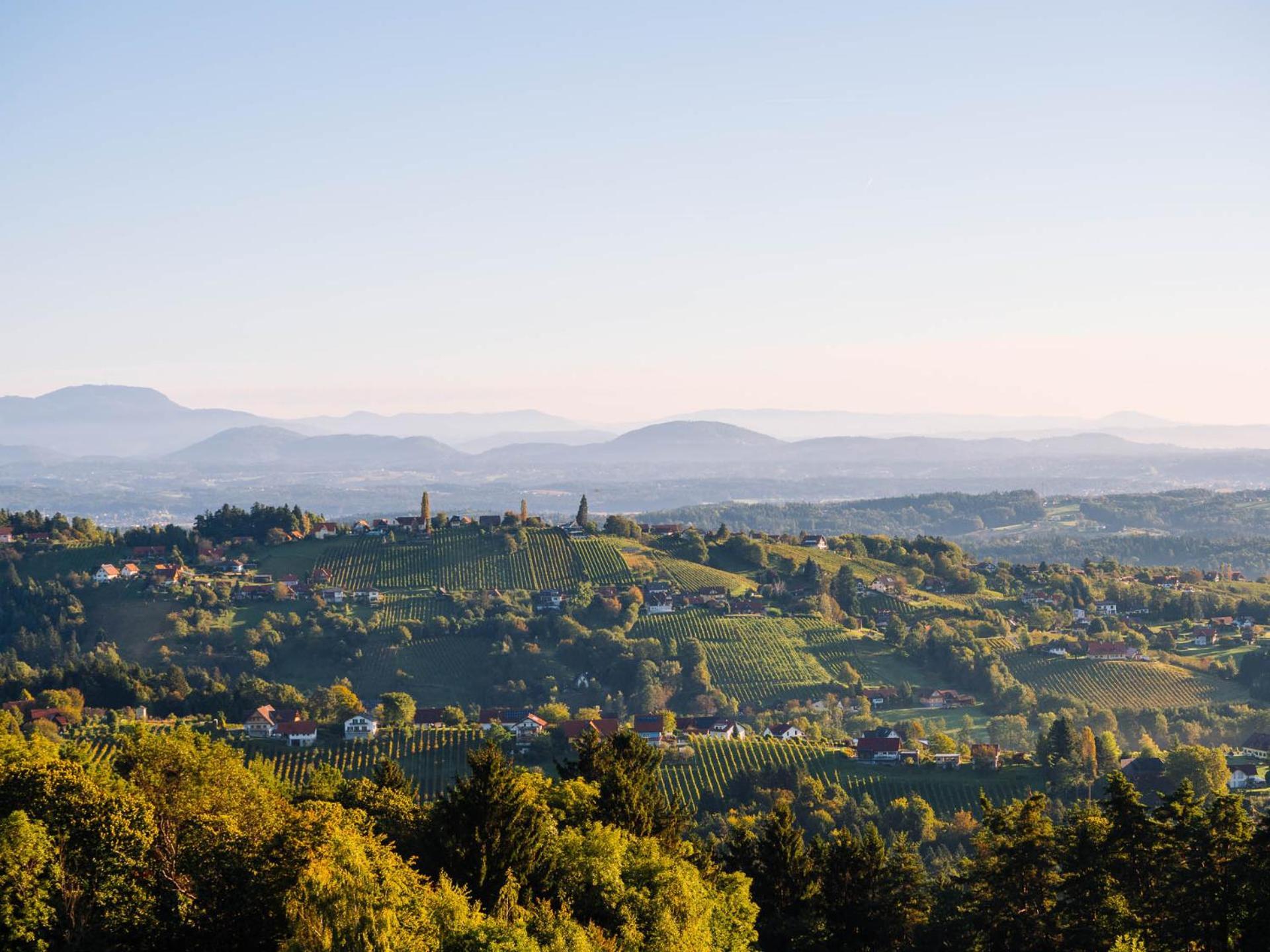 Schilcherlandleben - Hochgrail Greisdorf Экстерьер фото